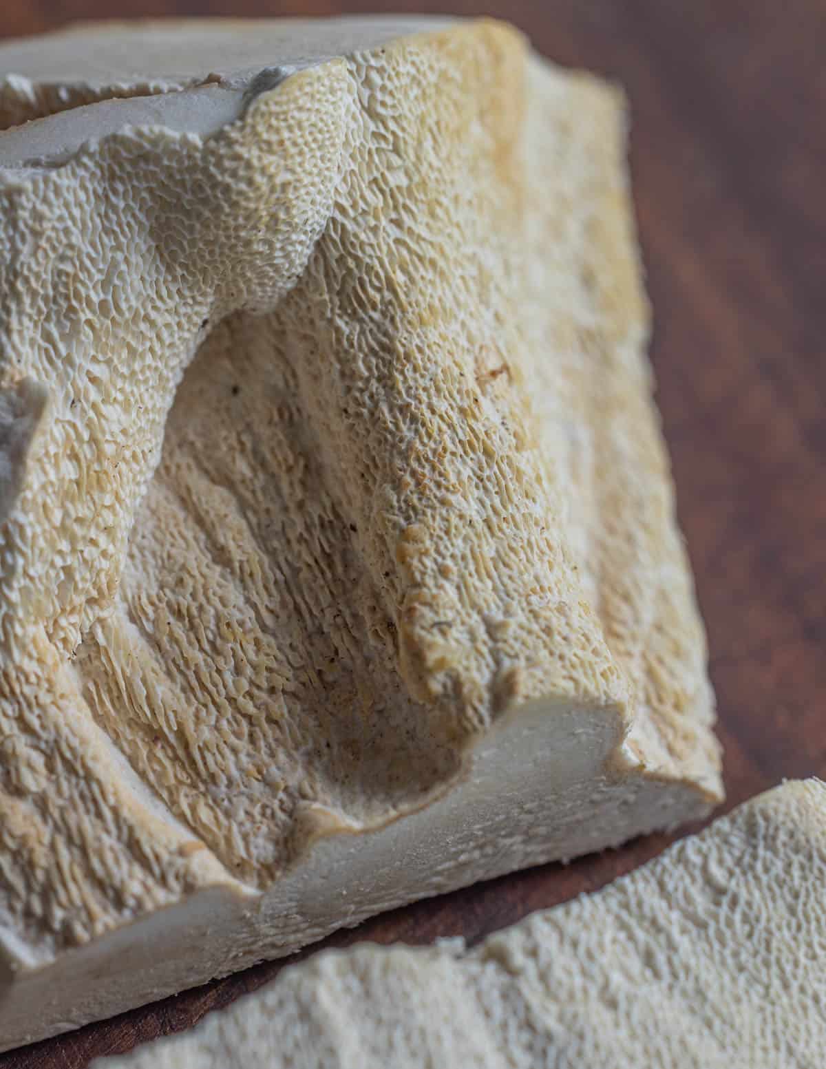 A close up image of the gnarled stem of Bondarzewia berkeleyi or Berkeley's polypore showing shaggy pores running down the stem. 