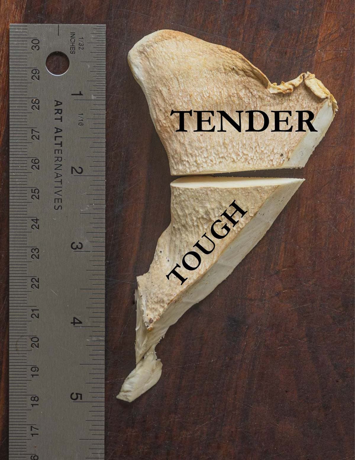 An infographic showing the tender part of Berkeley's polypore next to a ruler to illustrate the 2 inches of edible, tender margin on each mushroom cap. 