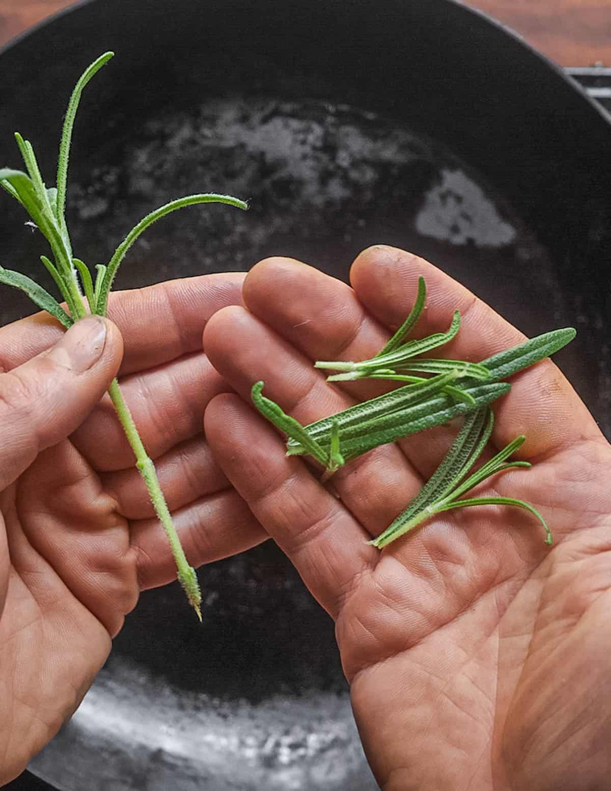 Removing rosemary leaves from the stem. 