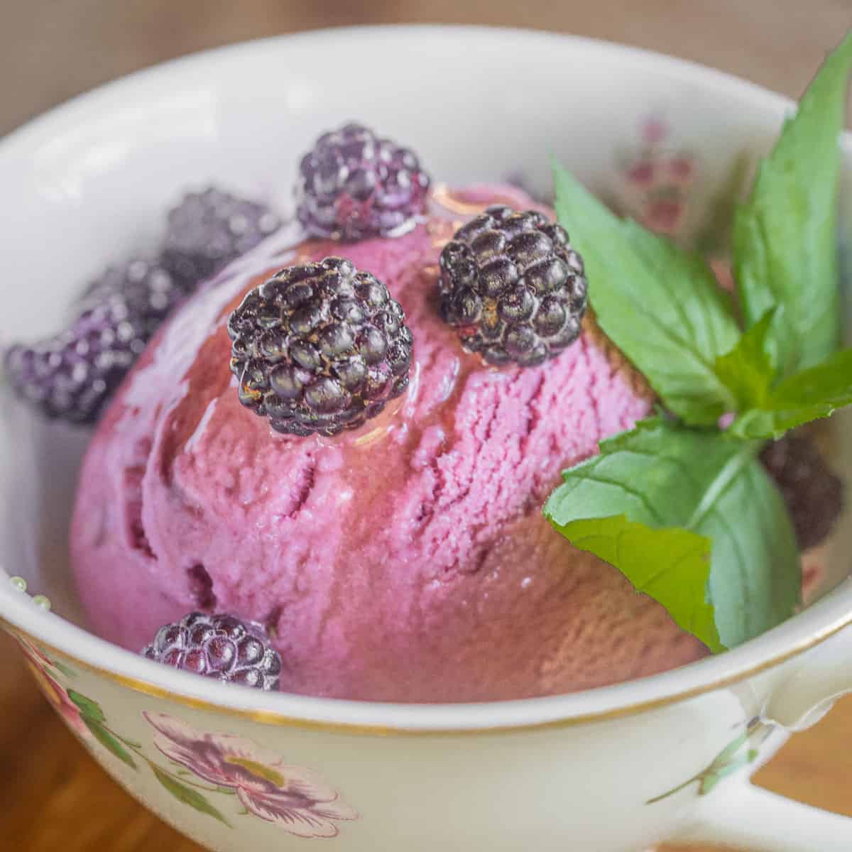 Black Raspberry Ice Cream