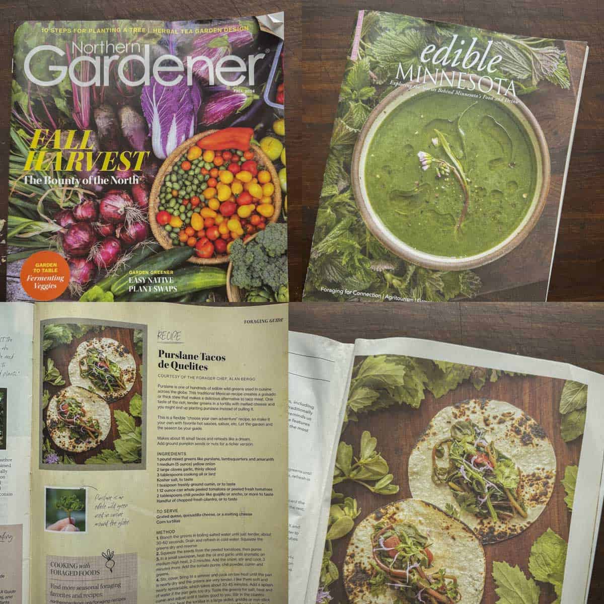 Plant based taco recipe published in two different magazines. 