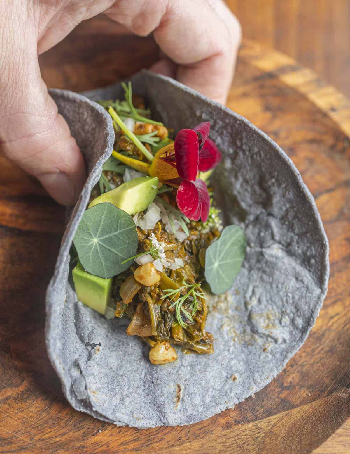 A hand holding a plant based spinach and kale taco garnished with walnuts, nasturtium leaves, and avocado. 