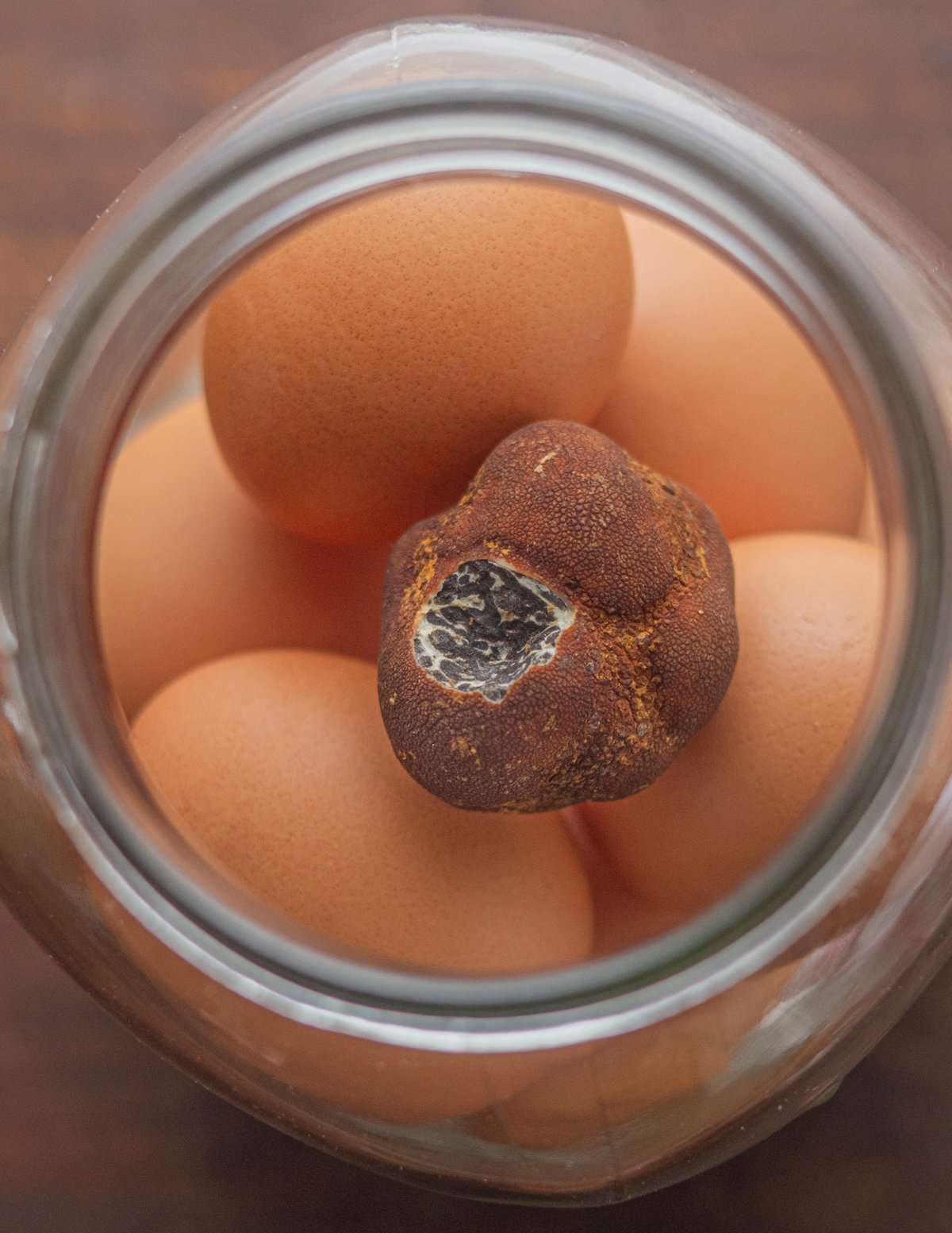 A jar of eggs being stored with Appalachian truffles (Tuber canaliculatum). 