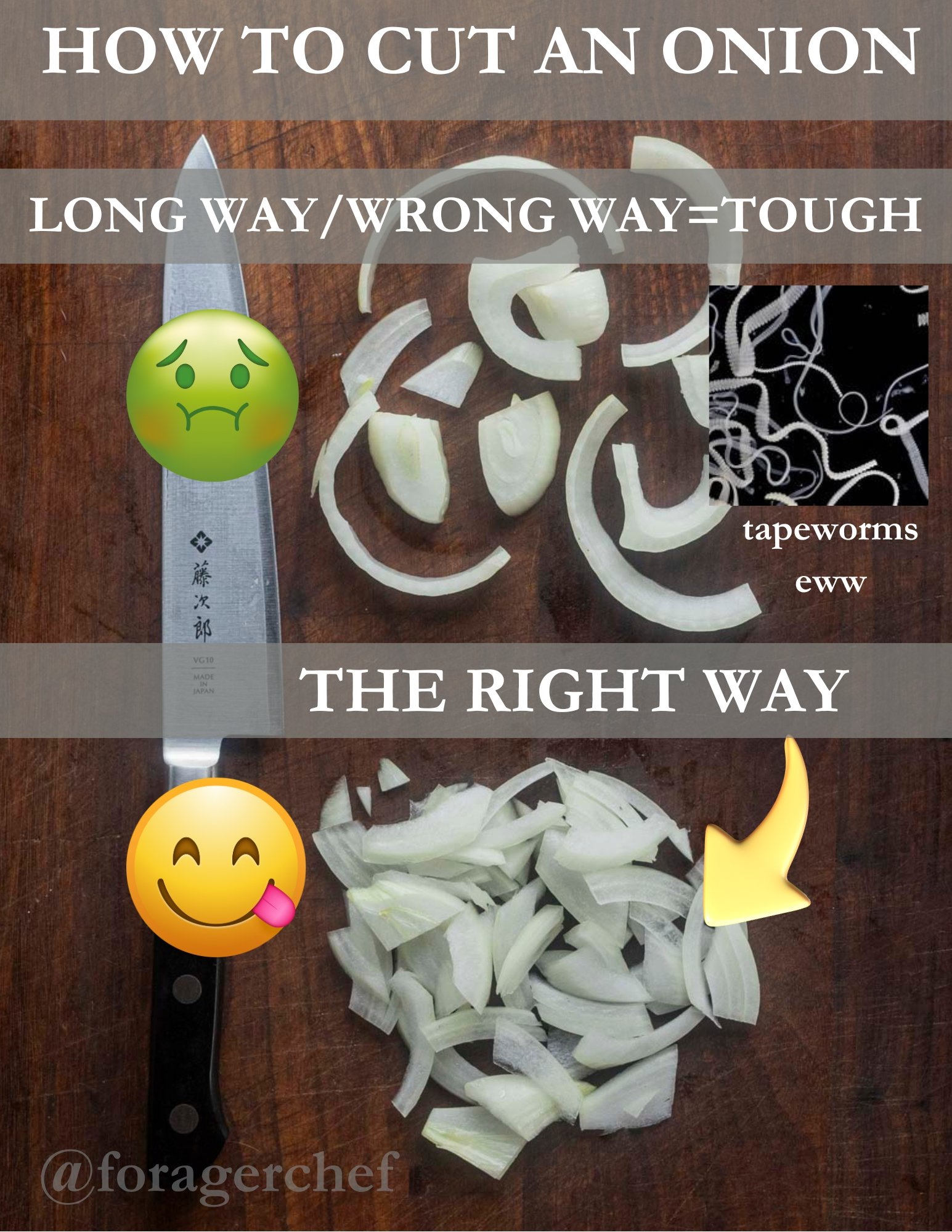 An infographic demonstrating the proper way to cut an onion. 