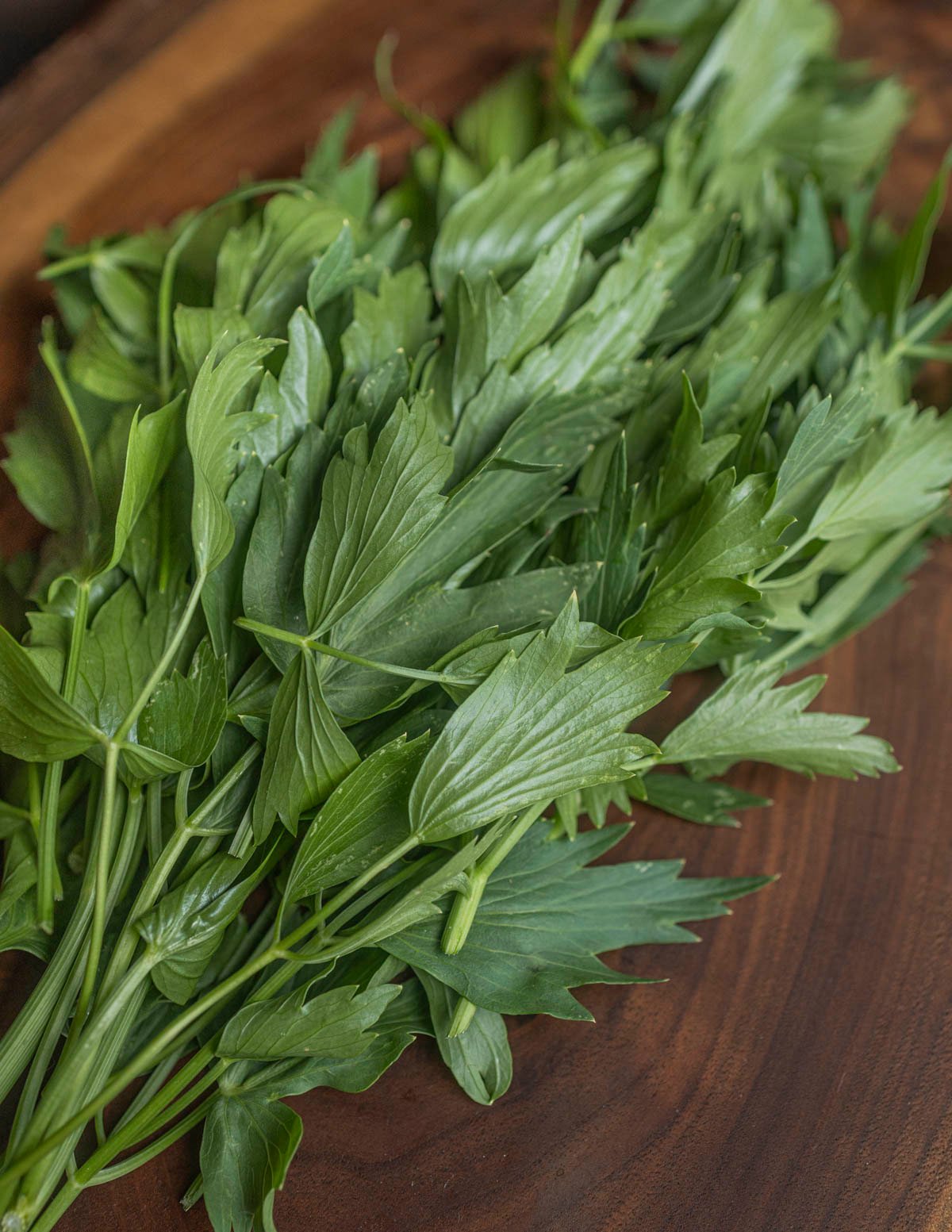 Fresh lovage herb greens on a cutting board. 