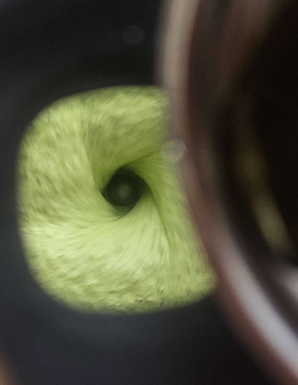 Pouring oil slowly into a blender to make green garlic herb aioli with lovage.  