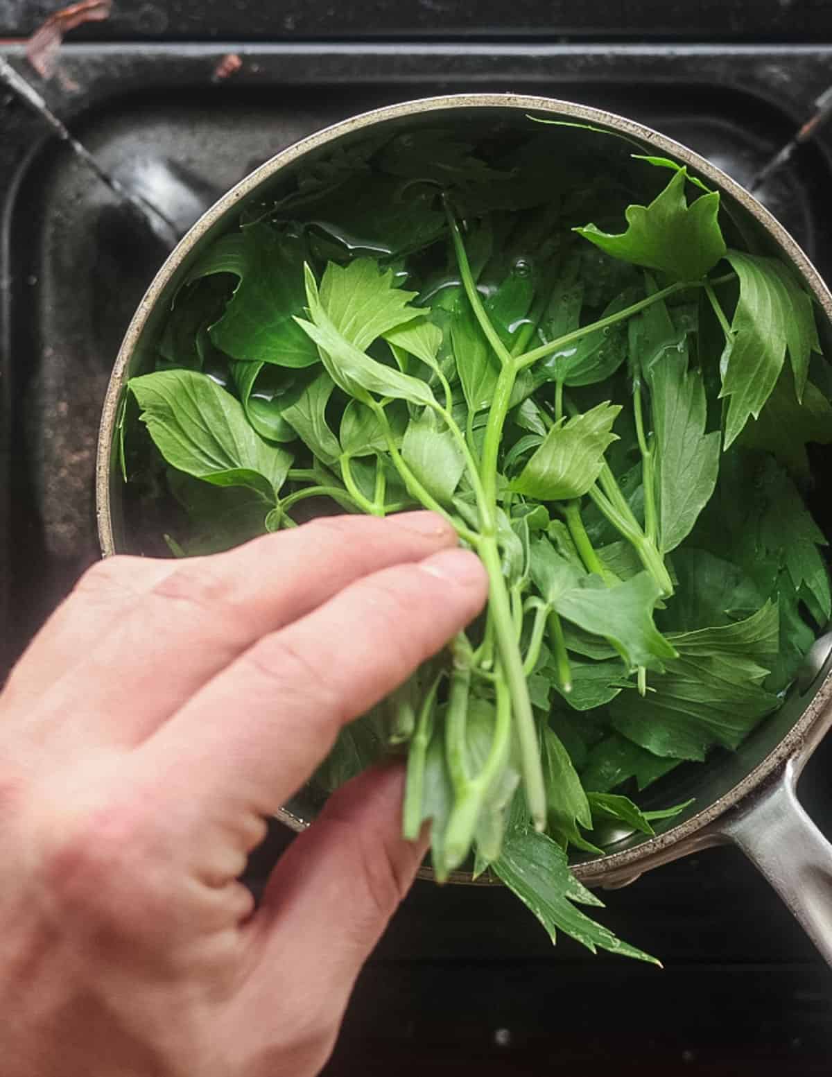 Putting lovage leaves and stems into a pot of boiling water to blanch. 