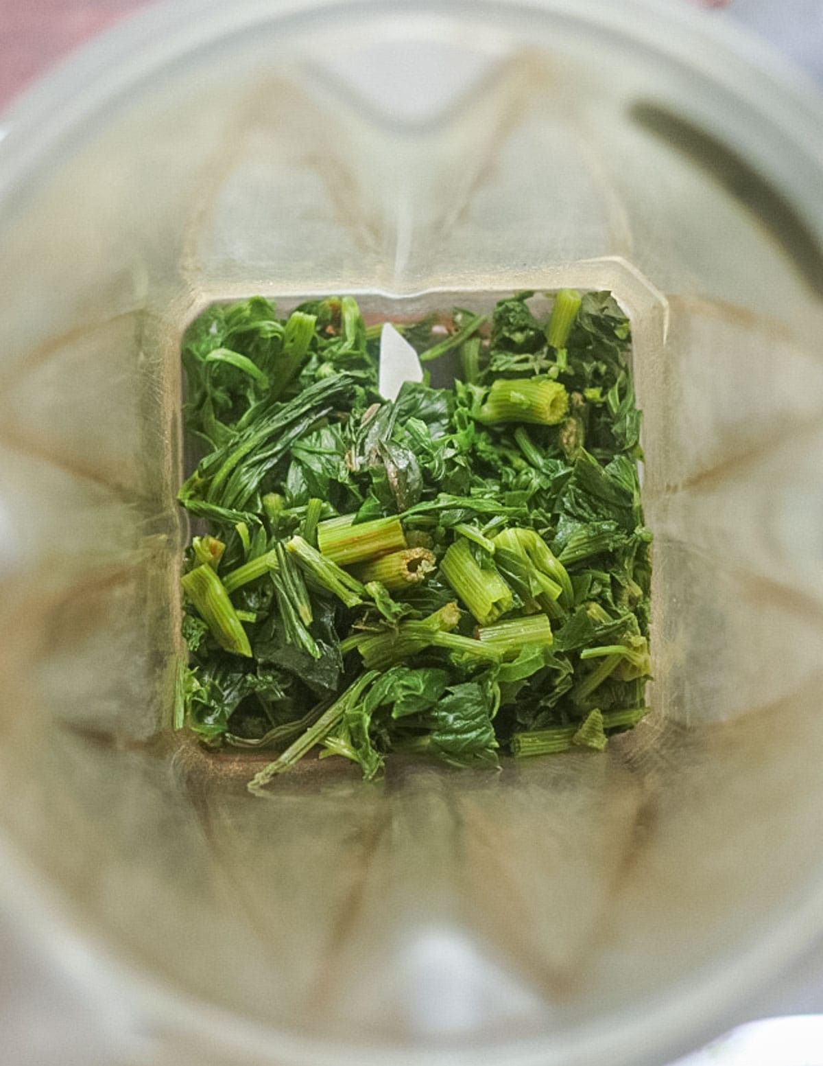 Putting chopped, blanched lovage greens in a blender. 