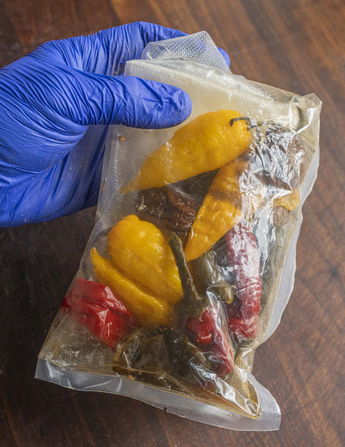 A sealed bag of fermented super hot peppers held by a gloved hand. 