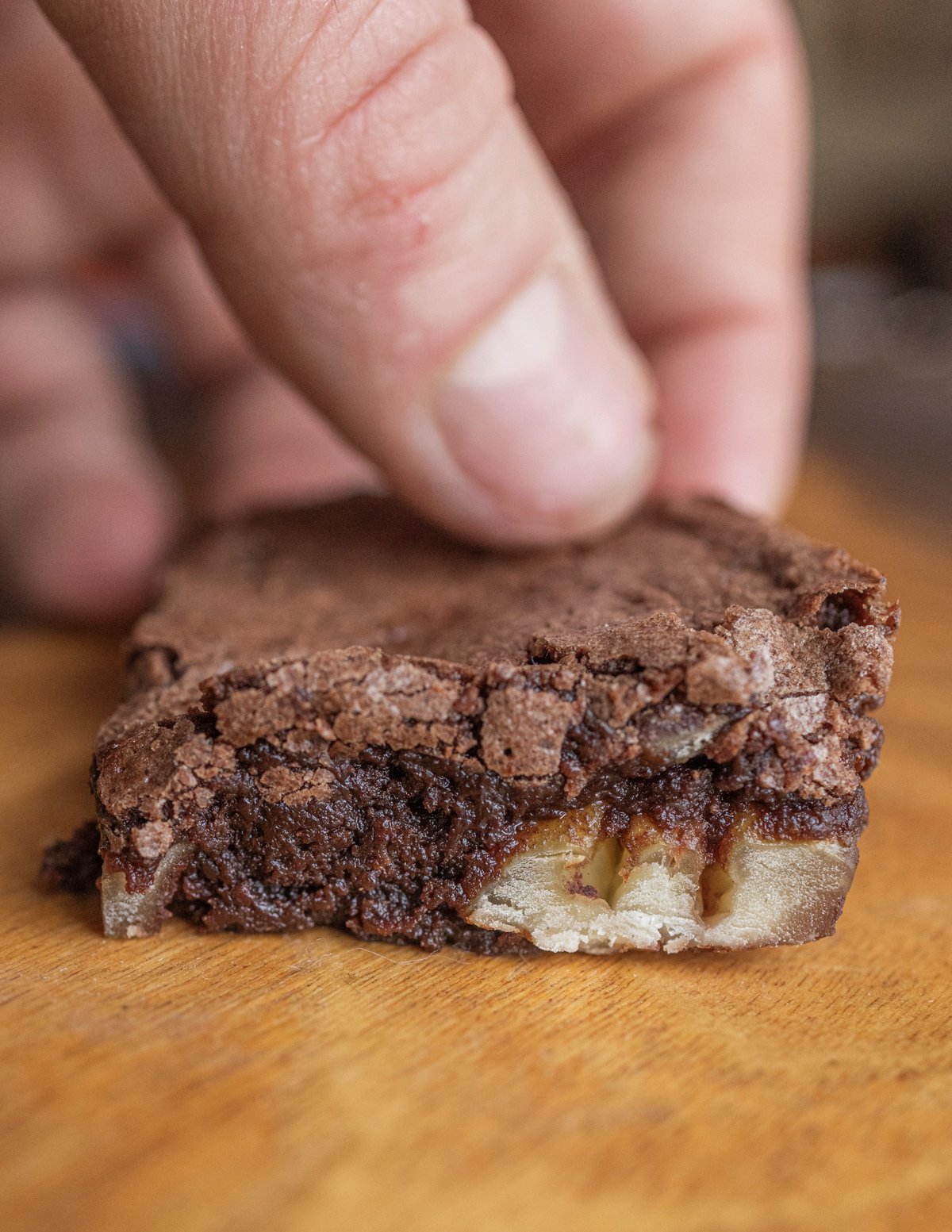 A hand grabbing a chestnut flour brownie cut to show roasted chestnuts inside. 