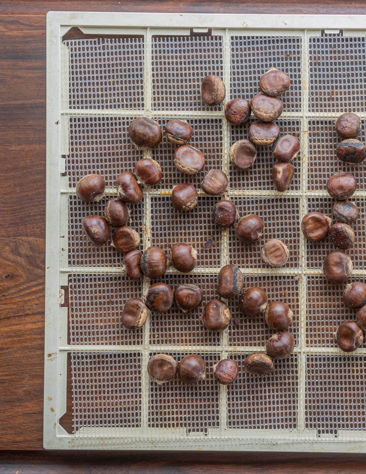 Drying chestnuts on a dehydrator rack. 