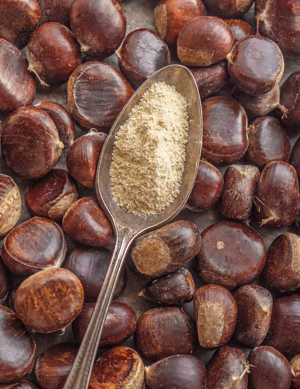 Chestnut flour on a spoon on a tray surrounded by fresh chestnuts in the shell. 