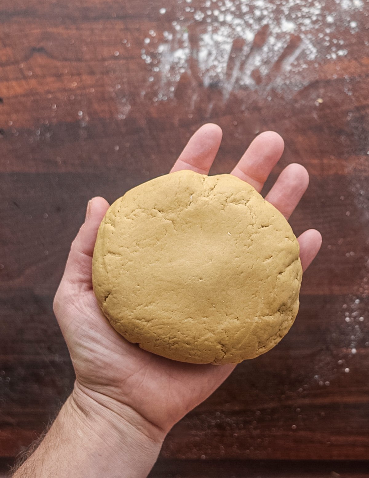 A hand holding a finished disk of chestnut flour pasta dough.