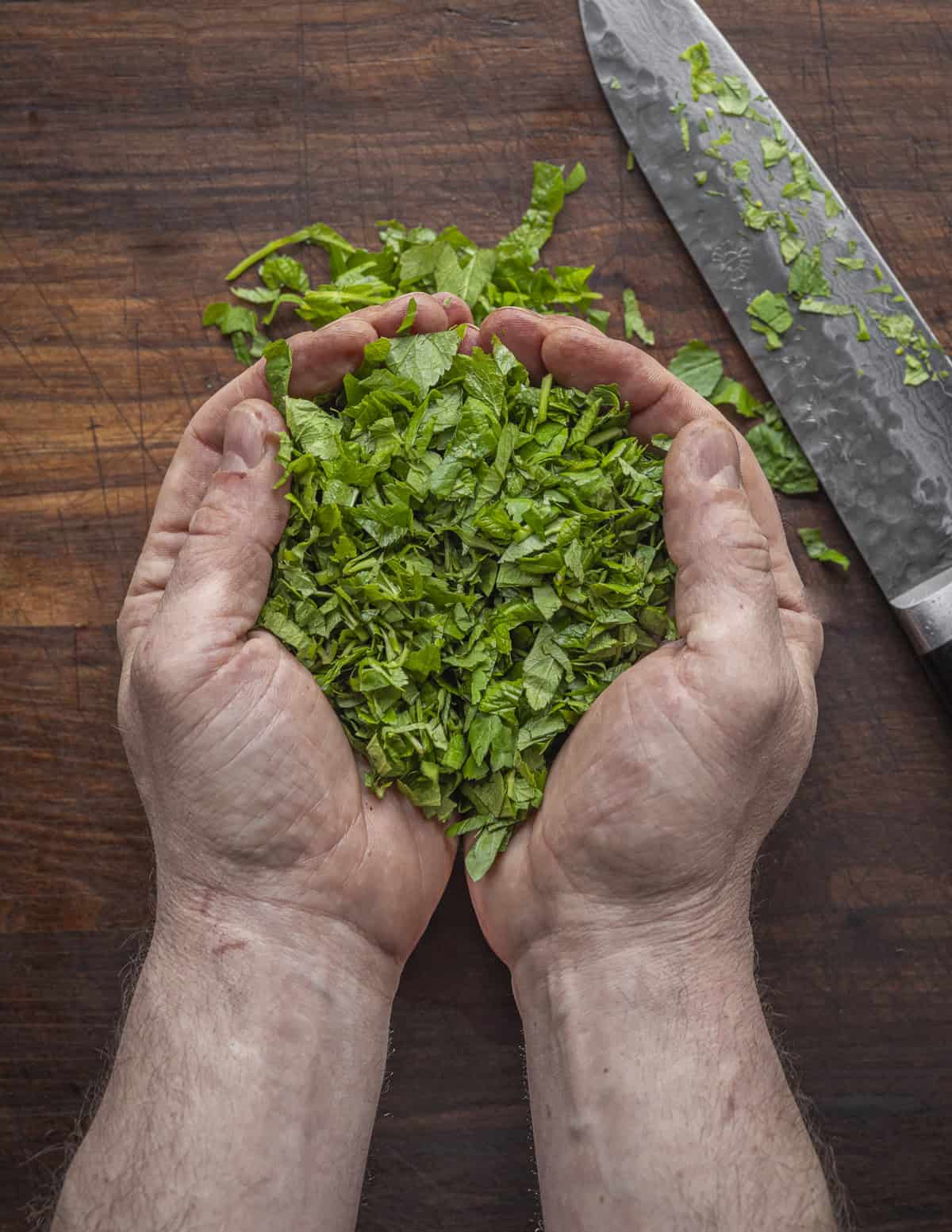 A handful of finely sliced edible snow on the mountain, goutweed, or ground elder. 