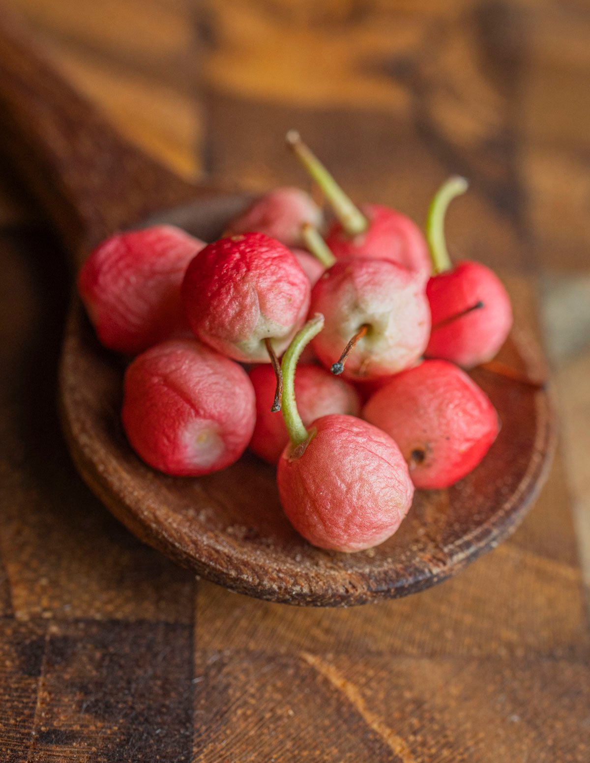 Fresh pink teaberries on a small wooden spoon. 