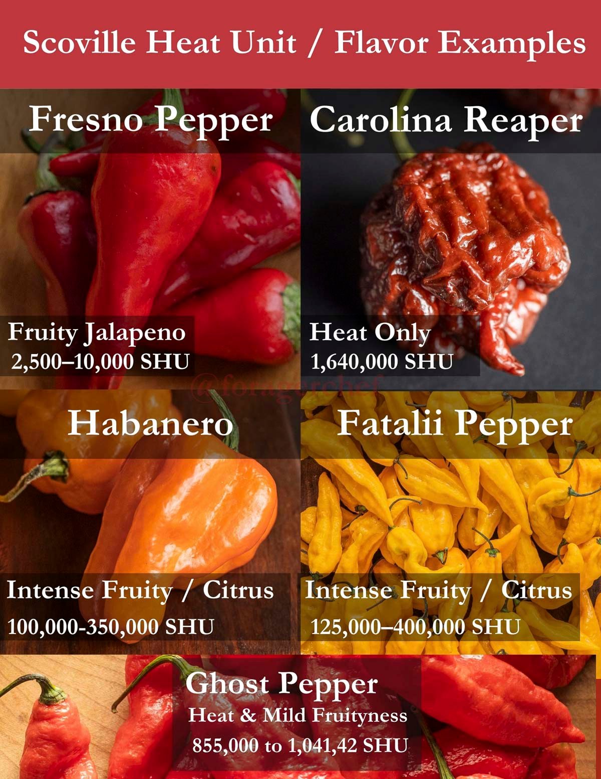 An infographic showing the different Scoville ratings of Carolina reapers, ghost peppers, Fatalii peppers, and habaneros with descriptions of their flavor. 