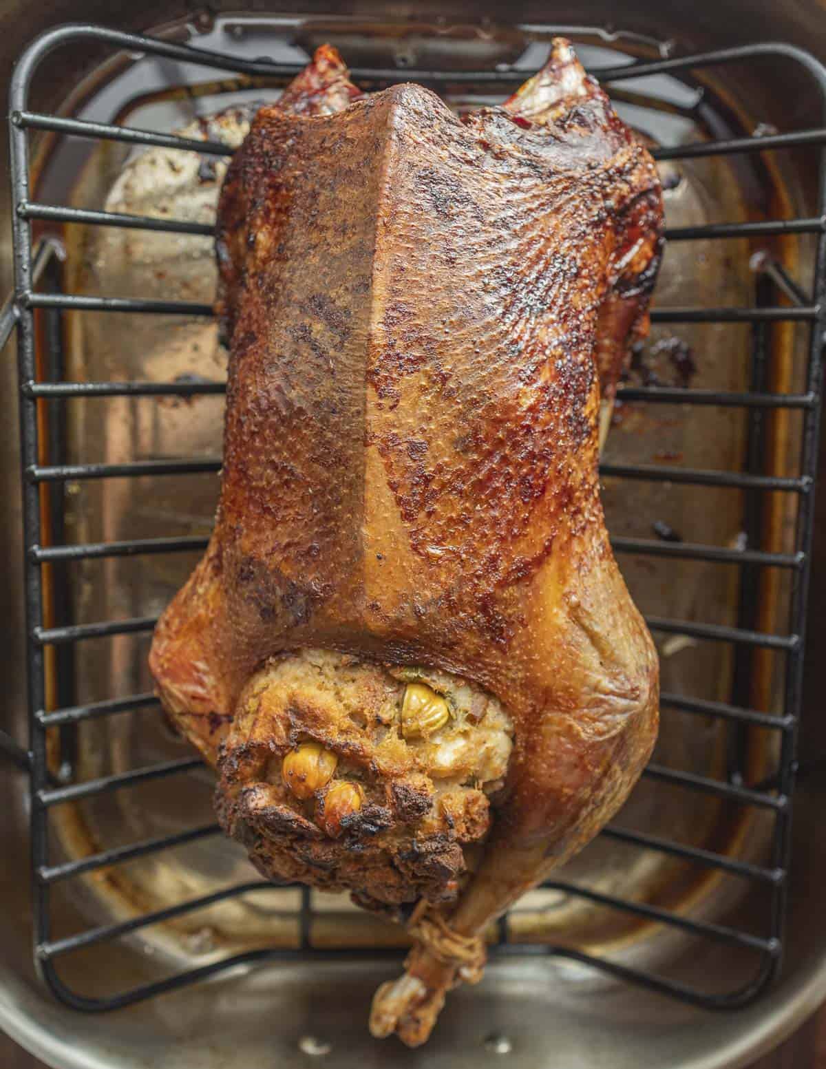 A perfectly roasted goose in a roasting pan. 