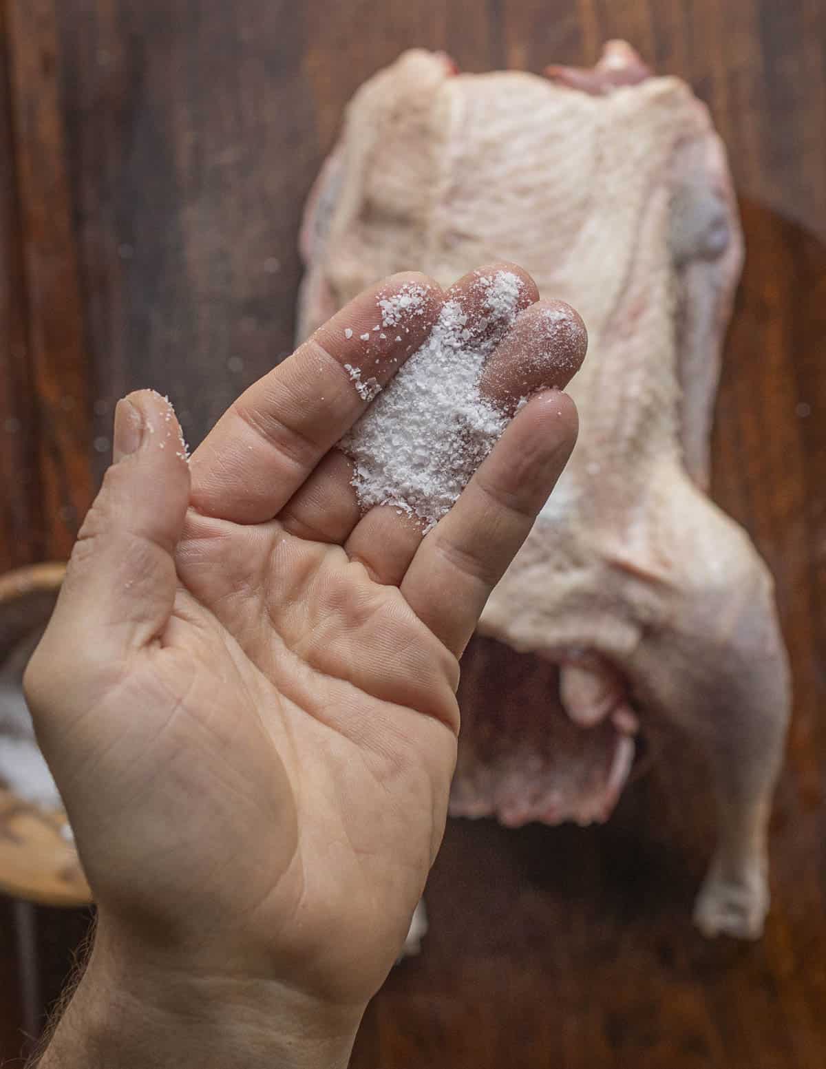 A hand filled with salt seasoning a whole goose with a dry brine. 