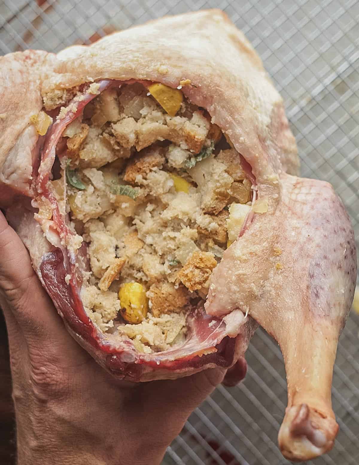 A hand holding a goose while stuffing it before roasting. 