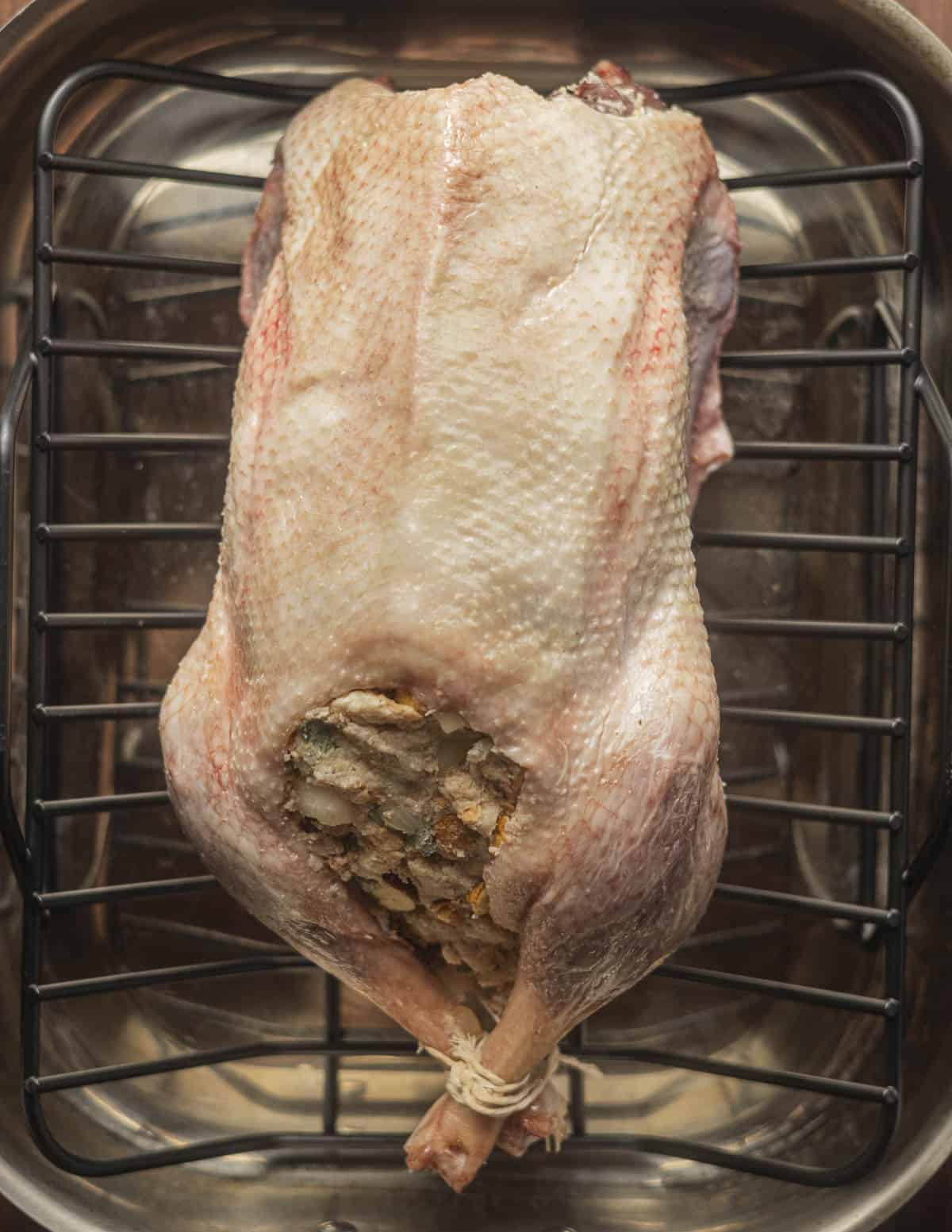 A whole goose ready to roast in a roasting pan.