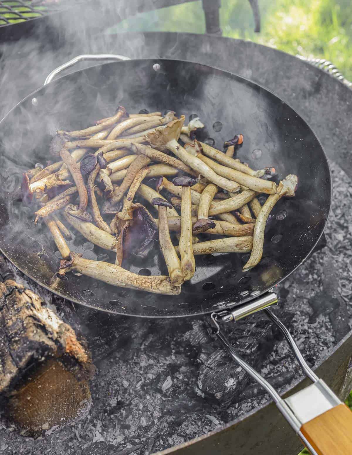 Smoking pioppino mushrooms over a wood fire in a grilling basket. 