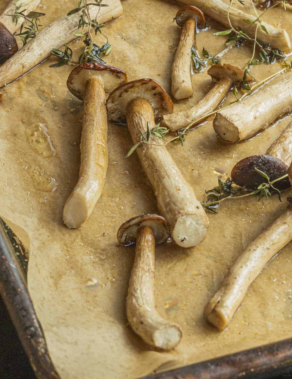 A baking tray filled with roasted pioppino mushrooms and herbs.