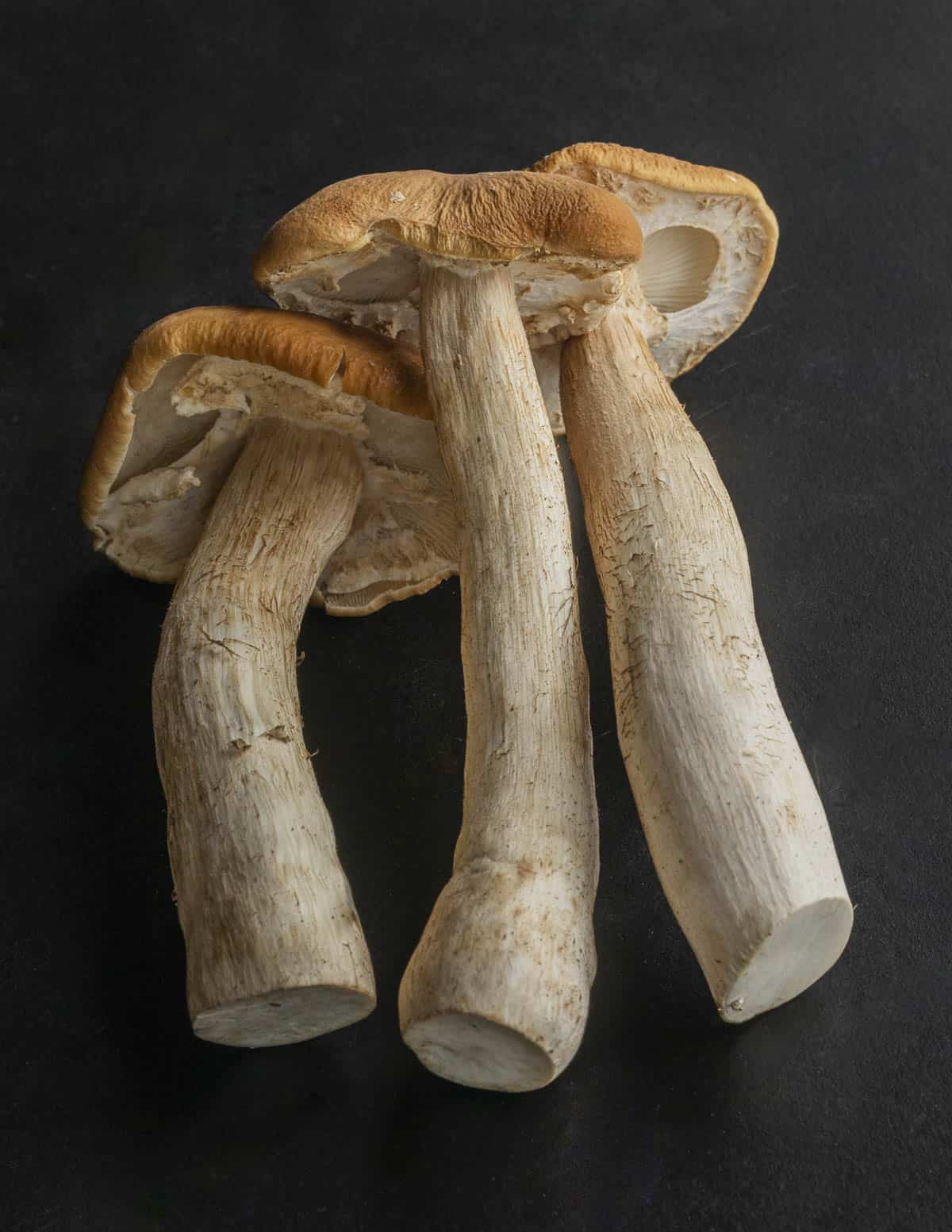 Three large pioppino mushrooms on a black background.