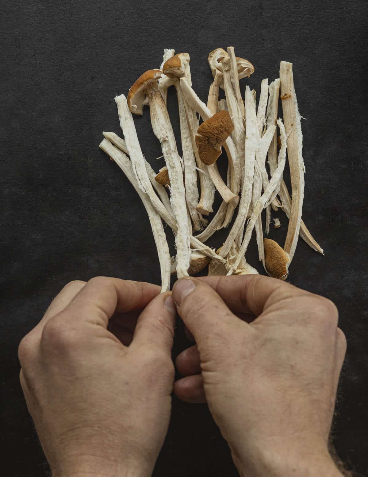 Pulling pioppino mushrooms apart for Japanese mushroom dishes. 