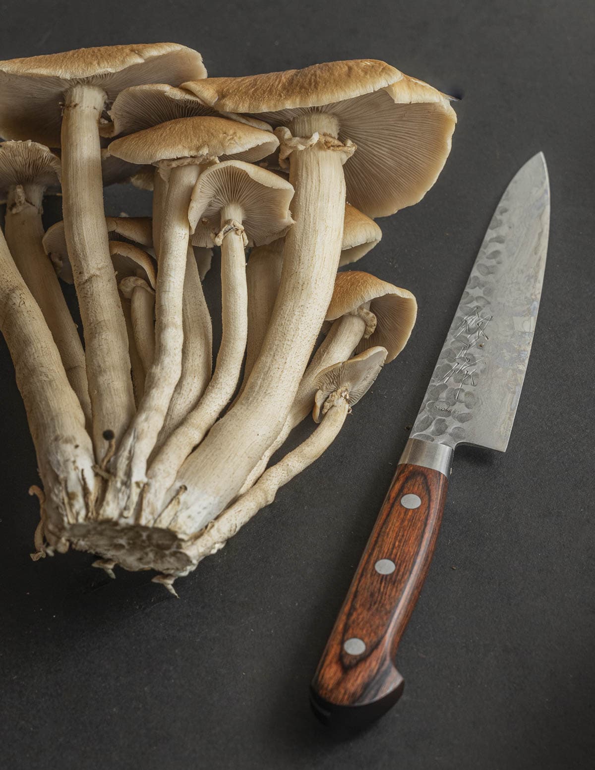 A large cluster of pioppino mushrooms next to a paring knife. 