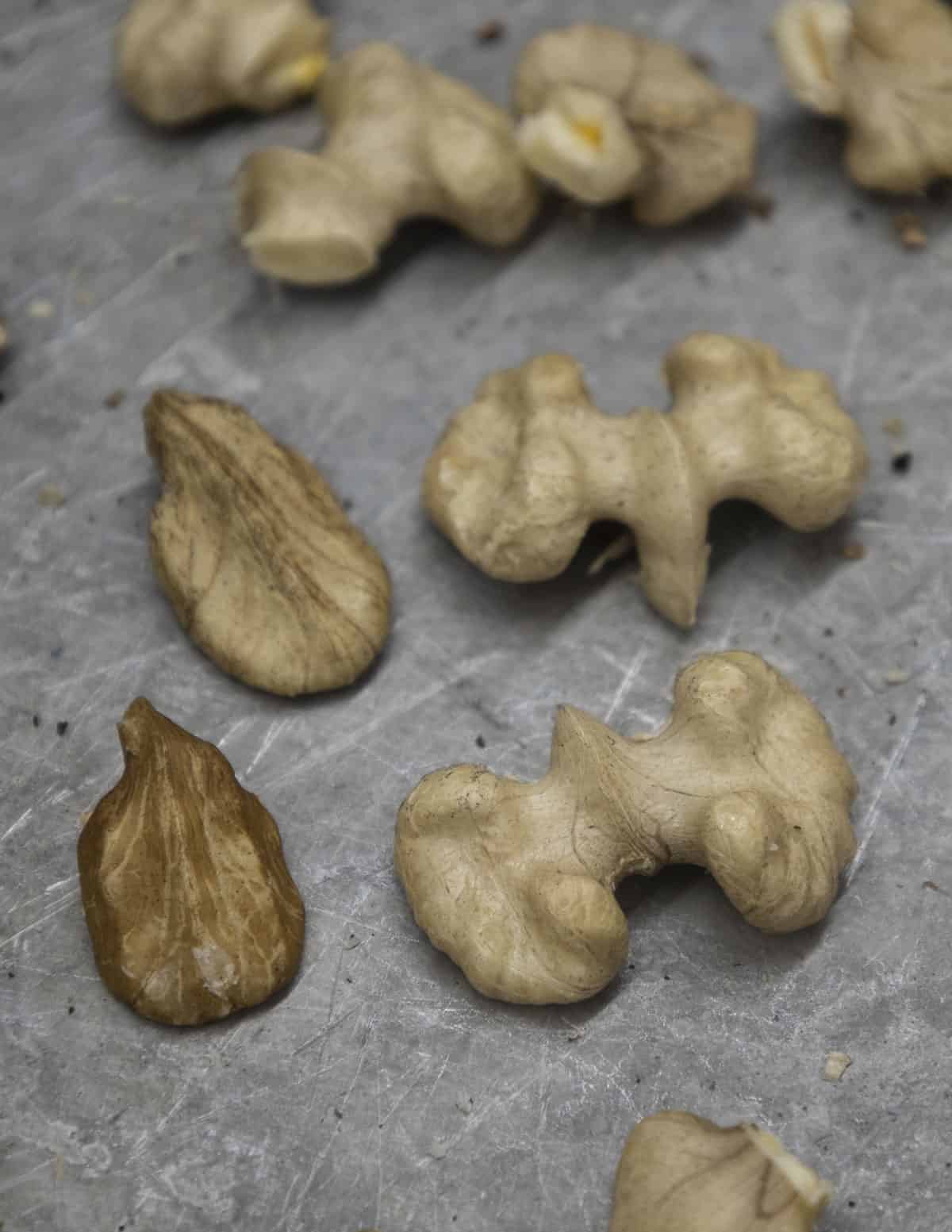 Whole black walnut (Juglans nigra) halves next to whole butternut (Juglans cinerea) halves on a baking tray showing the difference in their shapes. 