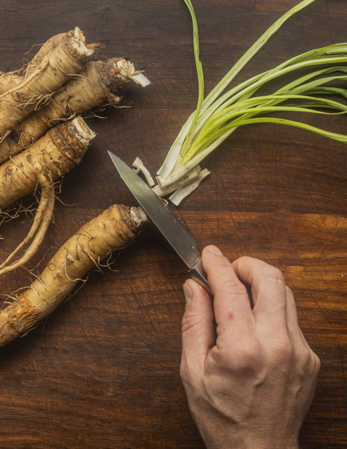 Removing the green tops from salsify roots. 