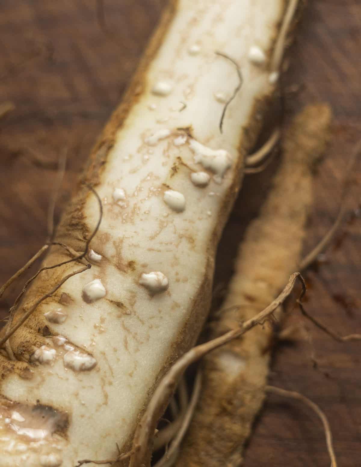 A yellow salsify root being peeled showing white latex coming from the root. 