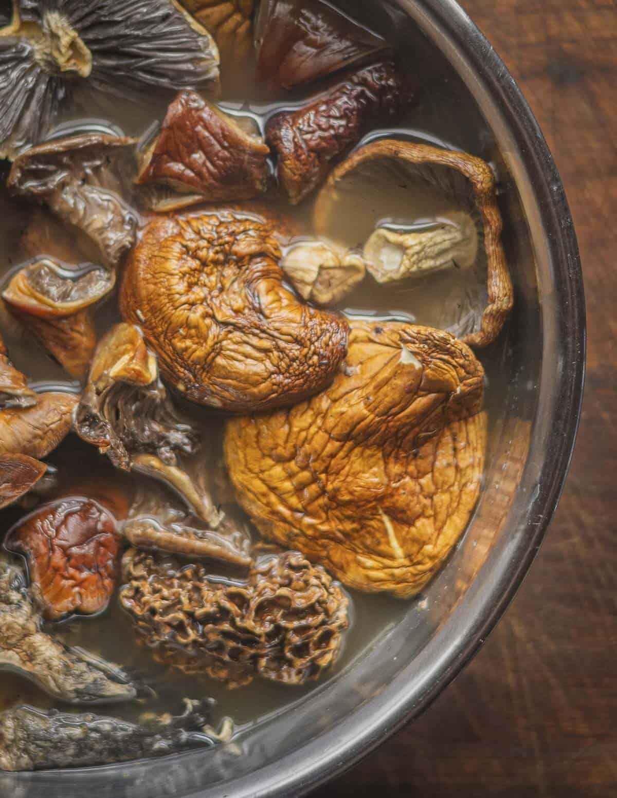 Soaking dried morel and wine cap mushrooms in chicken stock. 