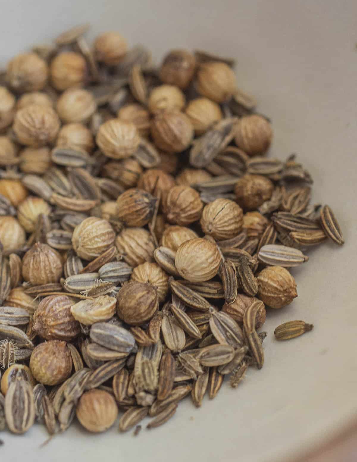 A close up image of carum seeds, wild fennel seeds and coriander seed. 