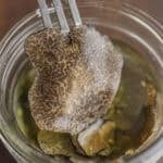 A fork removing a slice of truffles from a jar of black truffle slices in oil.