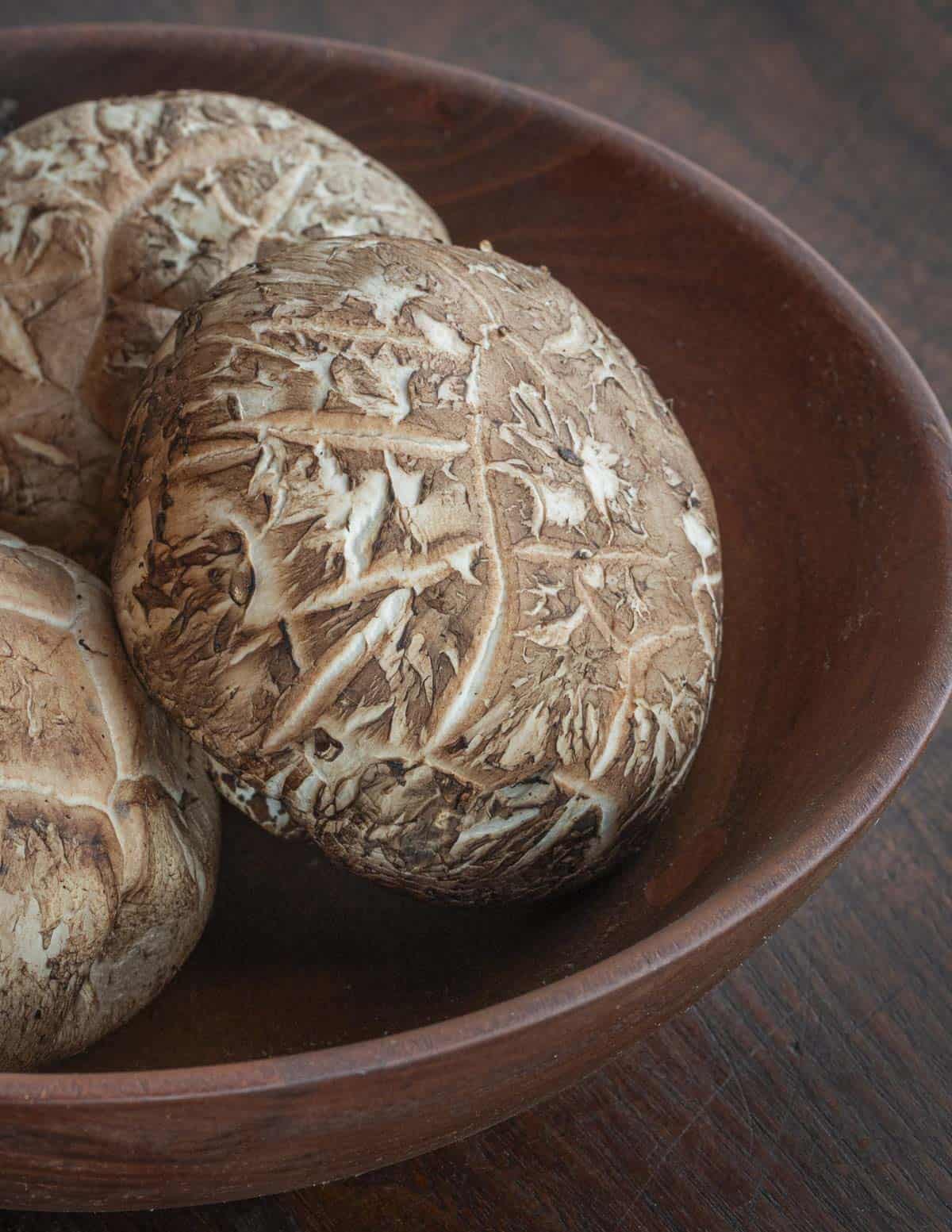 A bowl of fresh shiitake mushrooms. 