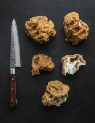 Gyromitra korfii mushrooms cut in half next to whole mushrooms on a black background for identification. 