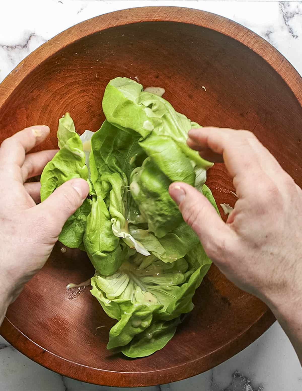Gently tossing butter lettuce leaves with maple vinaigrette. 