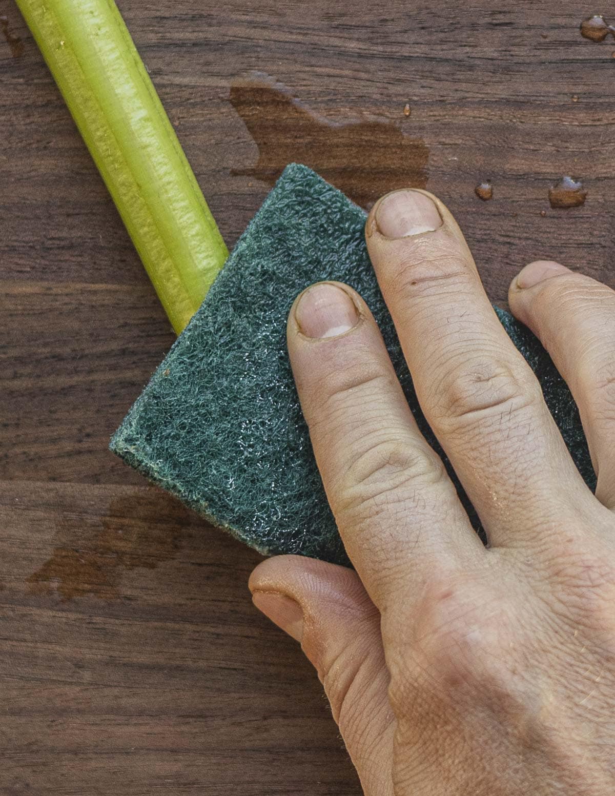 Scrubbing an edible burdock leaf petiole to remove bitter compounds. 
