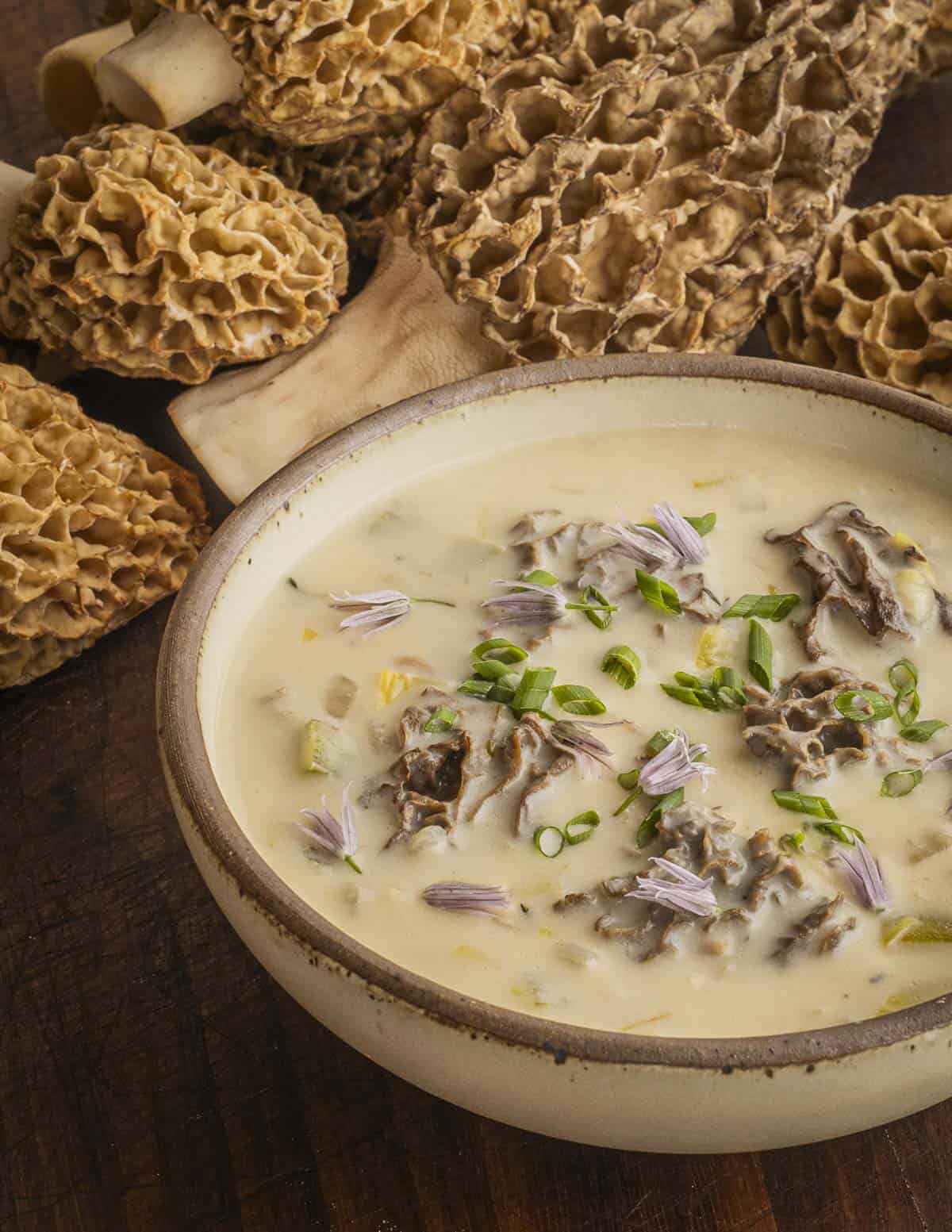 A bowl of cream of morel soup made with fresh mushrooms in a bowl next to a pile of fresh morels.