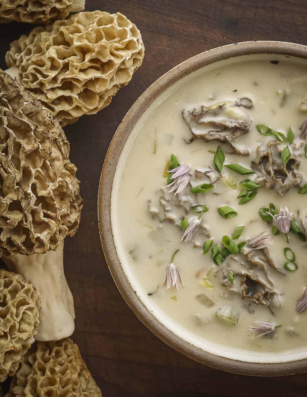 A bowl of fresh cream of morel mushroom soup next to large fresh morel mushrooms.
