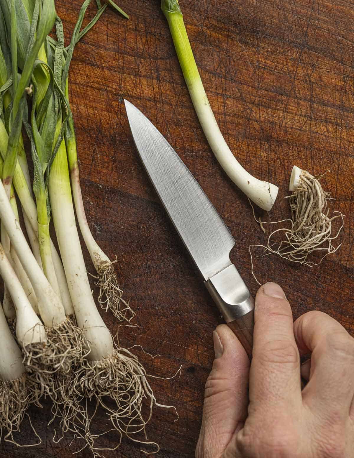 Removing the roots from green garlic plants. 