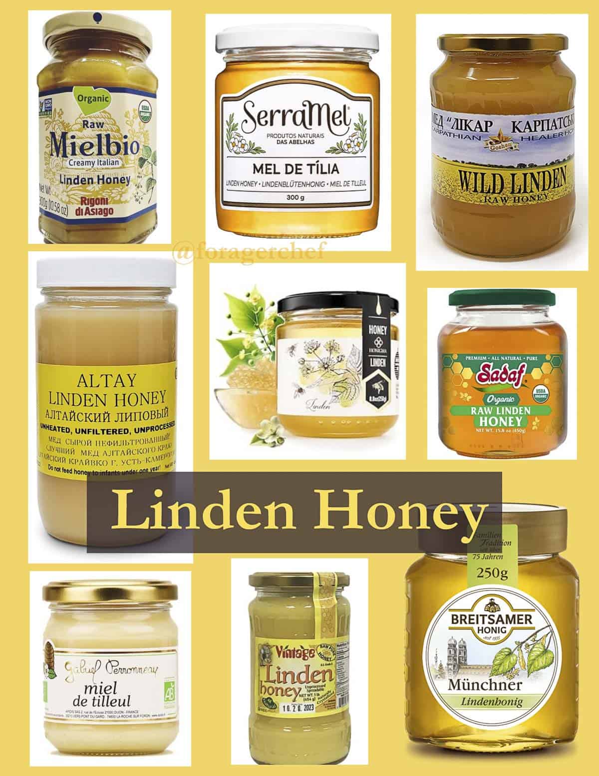 An infogrphic showing many jars of linden honey from around the world.