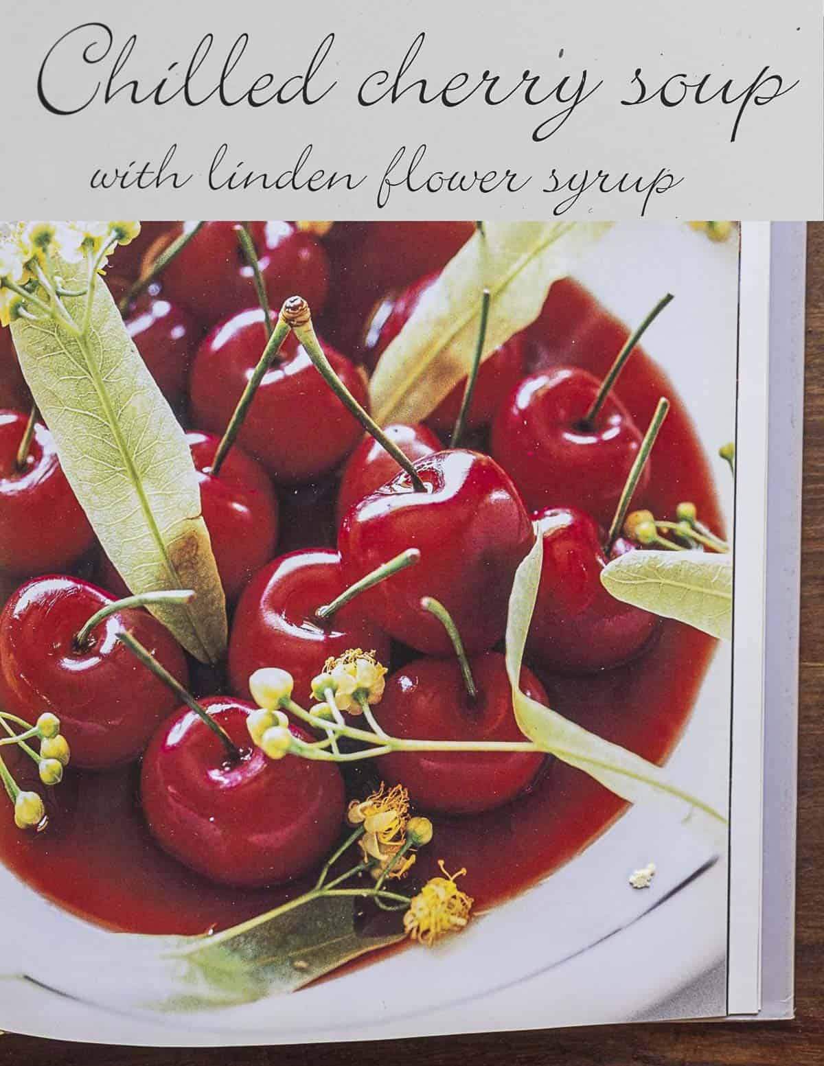 A picture from a French cookbook showing a linden flower recipe for cherries in linden syrup.