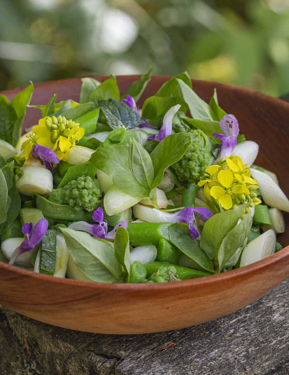 Cattail and milkweed shoot salad in a bowl. 