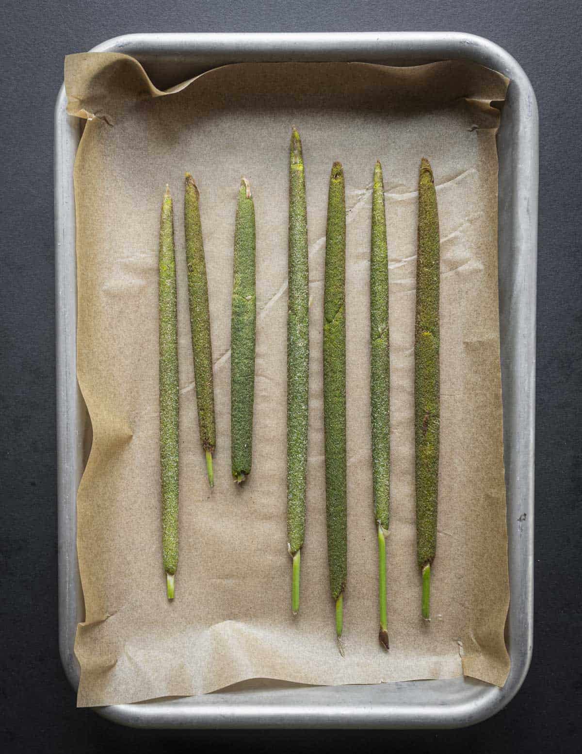 Edible cattail flower spikes on a baking sheet ready to cook and eat. 