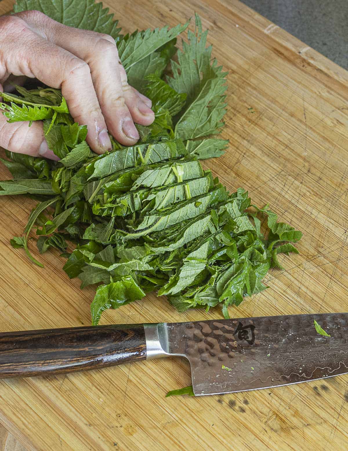 Slicing comfrey leaves and other wild plants for cooking with a chef's knife. 