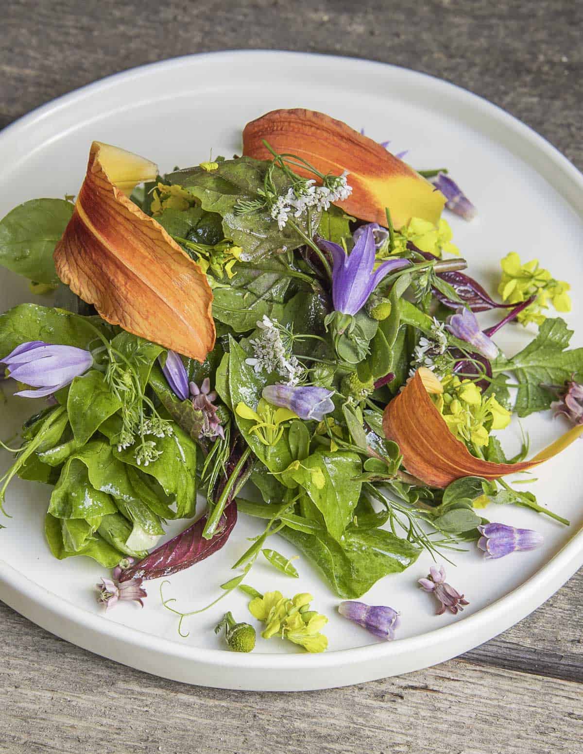 A salad of foraged greens including chickweed, watercress, lambsquarters and pineapple weed. Garnished with day lily, chive, bellflower mustard and comfrey flowers. 