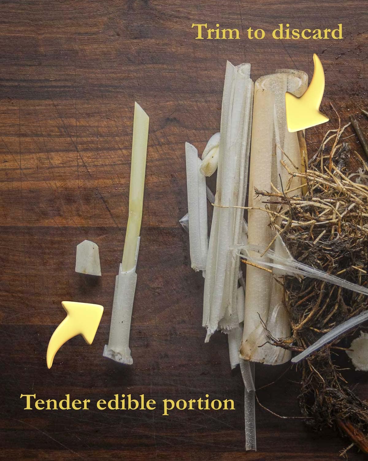 An infographic showing the finished edible portion of a trimmed cattail along with the trim and waste. 