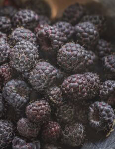 Black Raspberries (The Black Cap Berry) - Forager | Chef